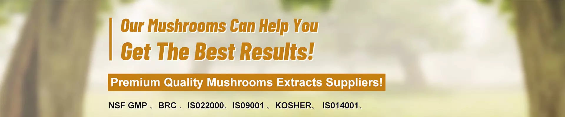 https://spa.needke.com/storage/upload/images/company/6346/baseset/2026/05/05/1777949395636224.webp